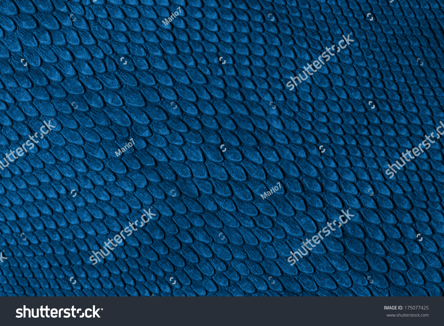 Snake Skin Blue Stock Photo (edit Now) 175077425