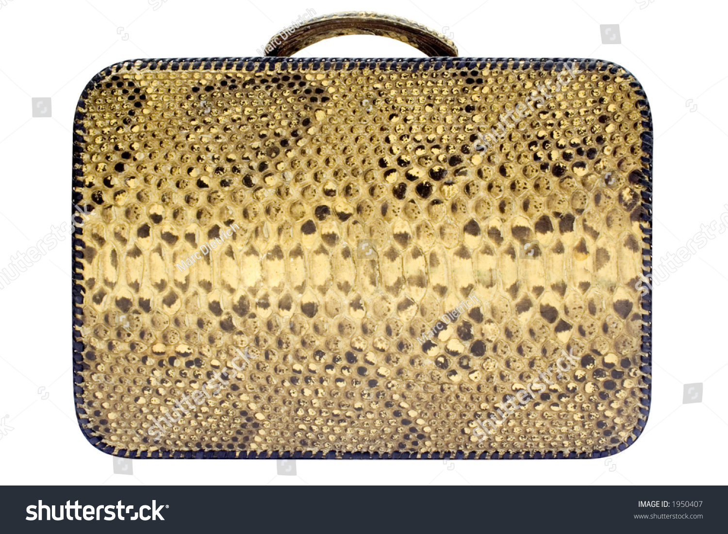 snakeskin side bag