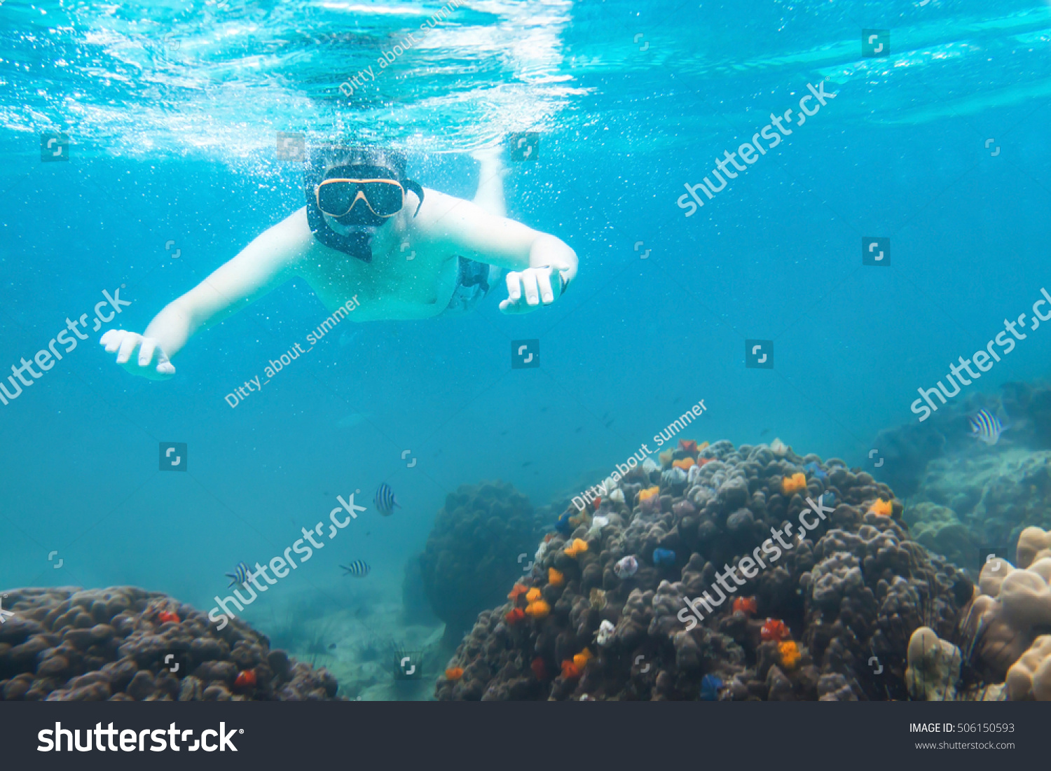 Snorkeling Underwater Active Travels Snorkeler Watching Stock Photo ...