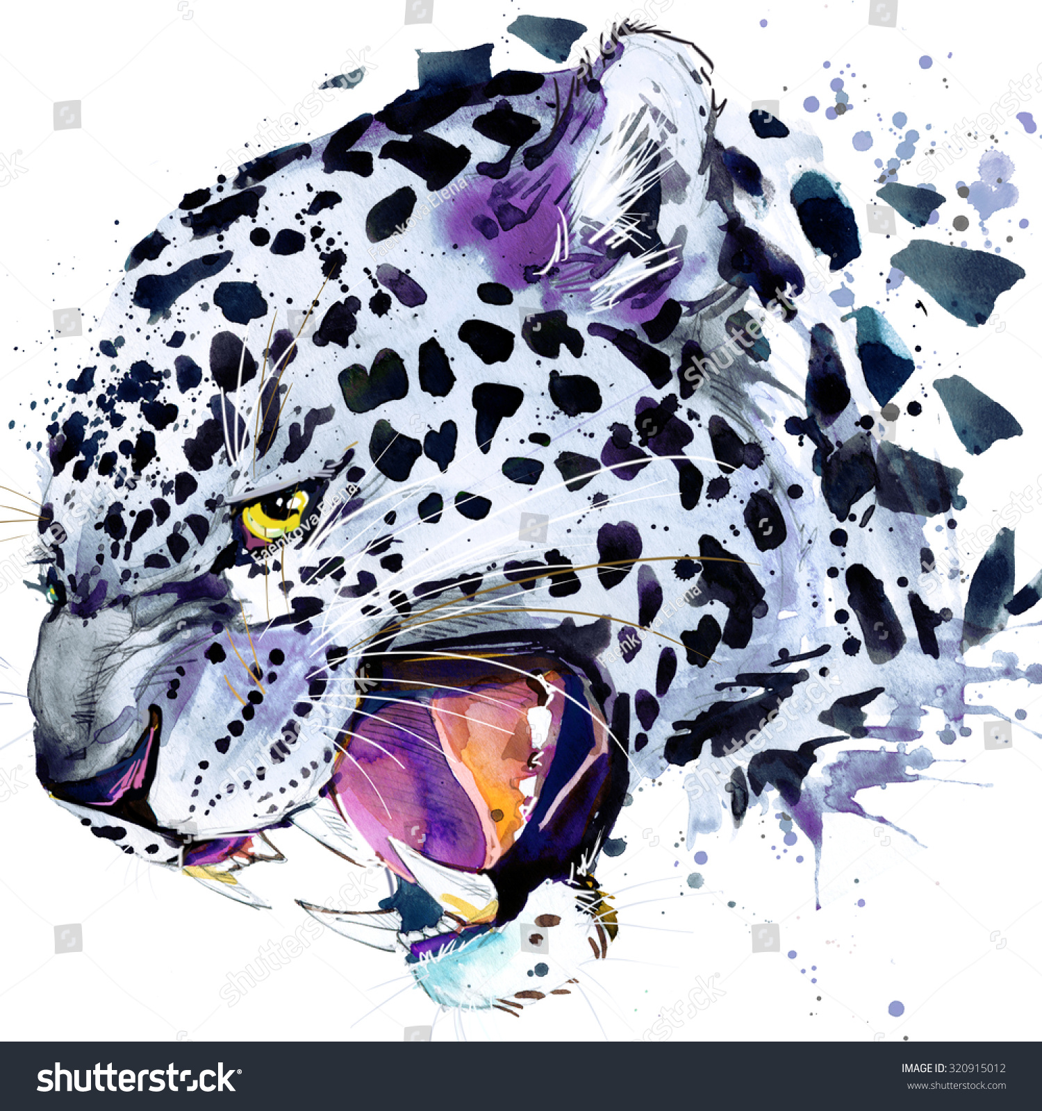 Snow Leopard Tshirt Graphics Snow Leopard Stock ...