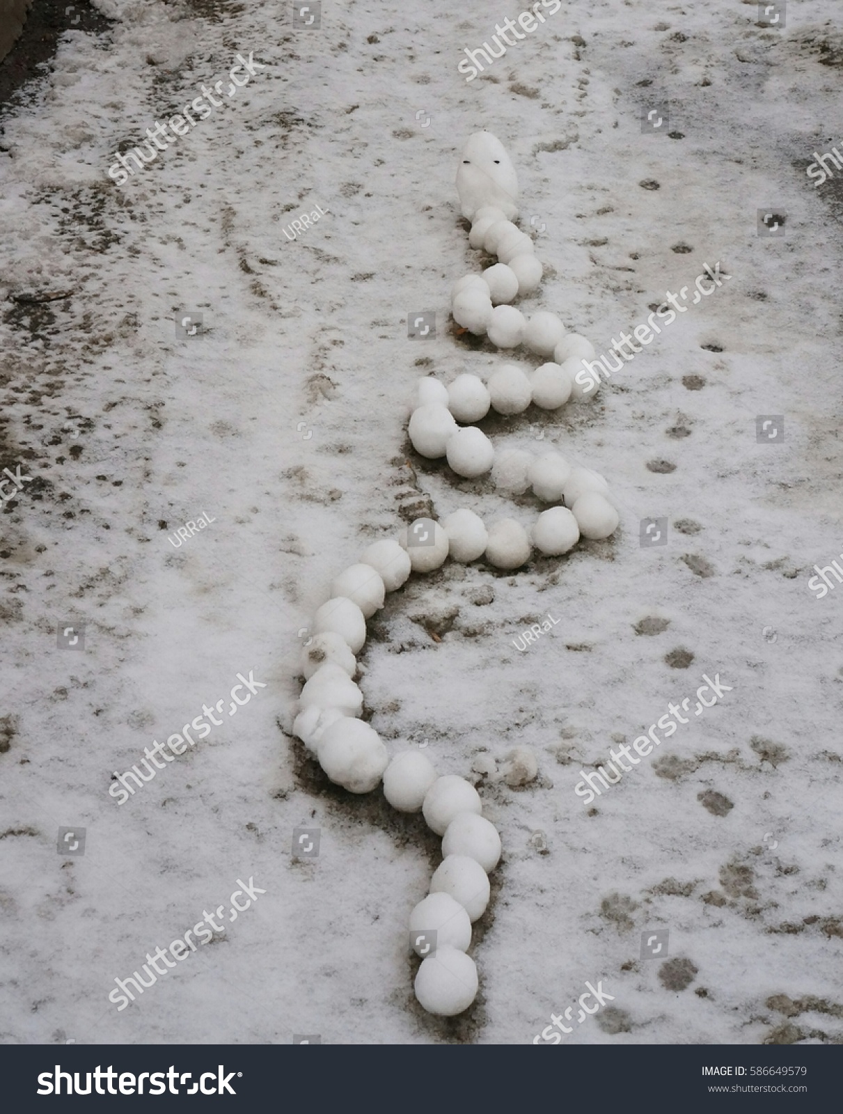 Snow Snake Stock Photo Edit Now