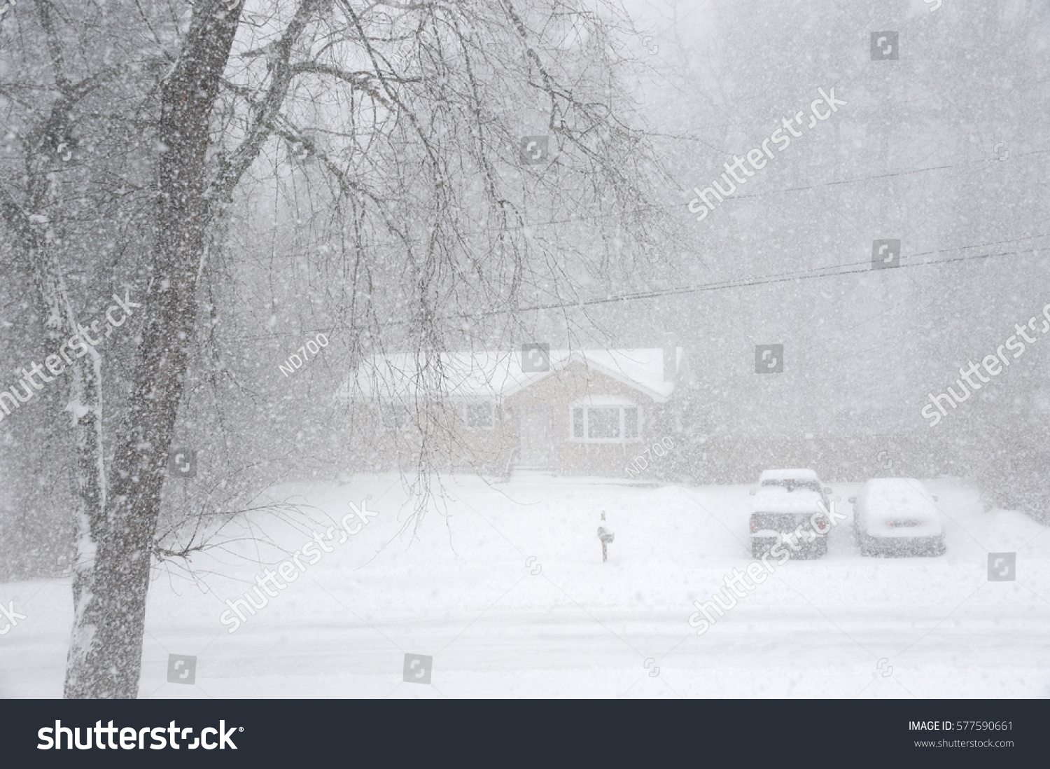 Snowing Wind Blowing Residential Area Blizzard Stock Photo 577590661 ...