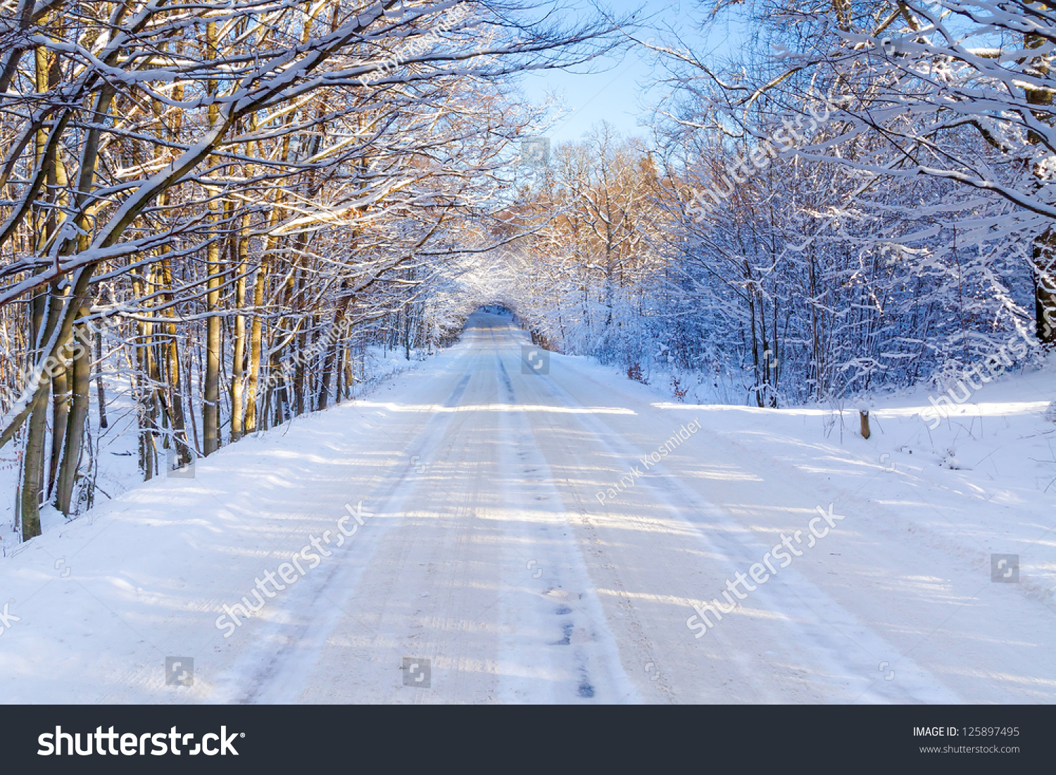 Snowy Road In Winter Forest Of Poland Stock Photo 125897495 : Shutterstock