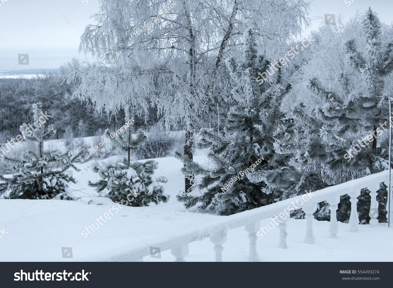 Snowy Winter. Merry Christmas. Stock Photo 554493274 : Shutterstock