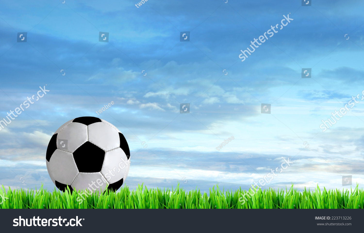 Soccer Field And Beautiful Blue Sky Stock Photo 223713226 : Shutterstock