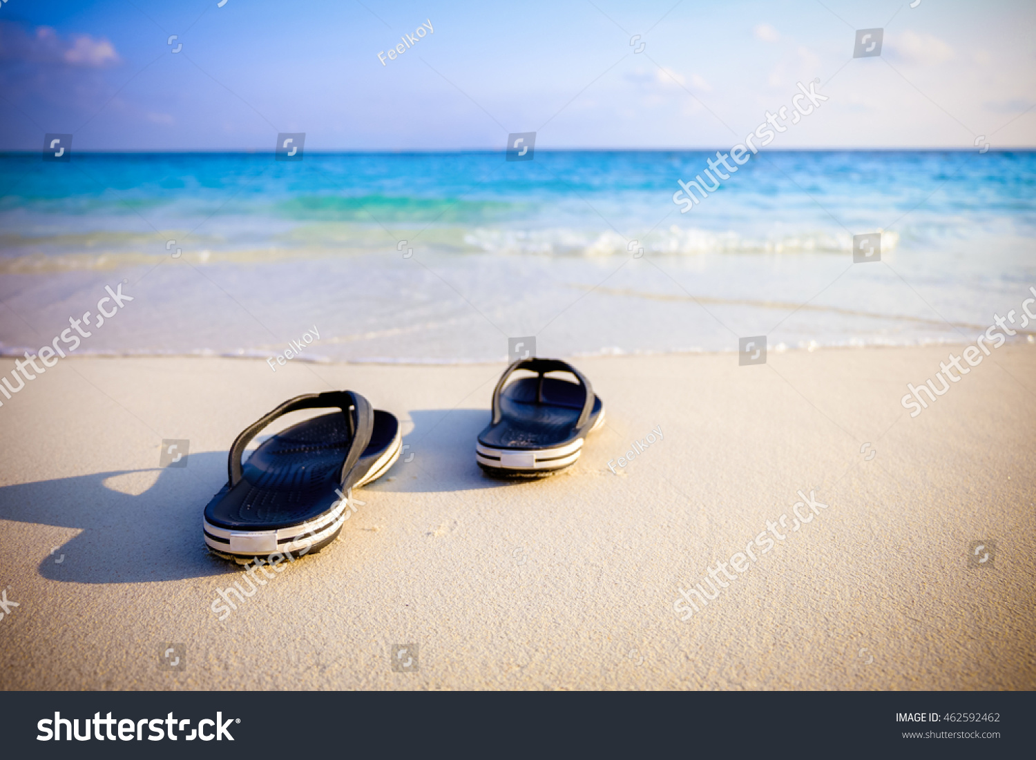 clear sea shoes
