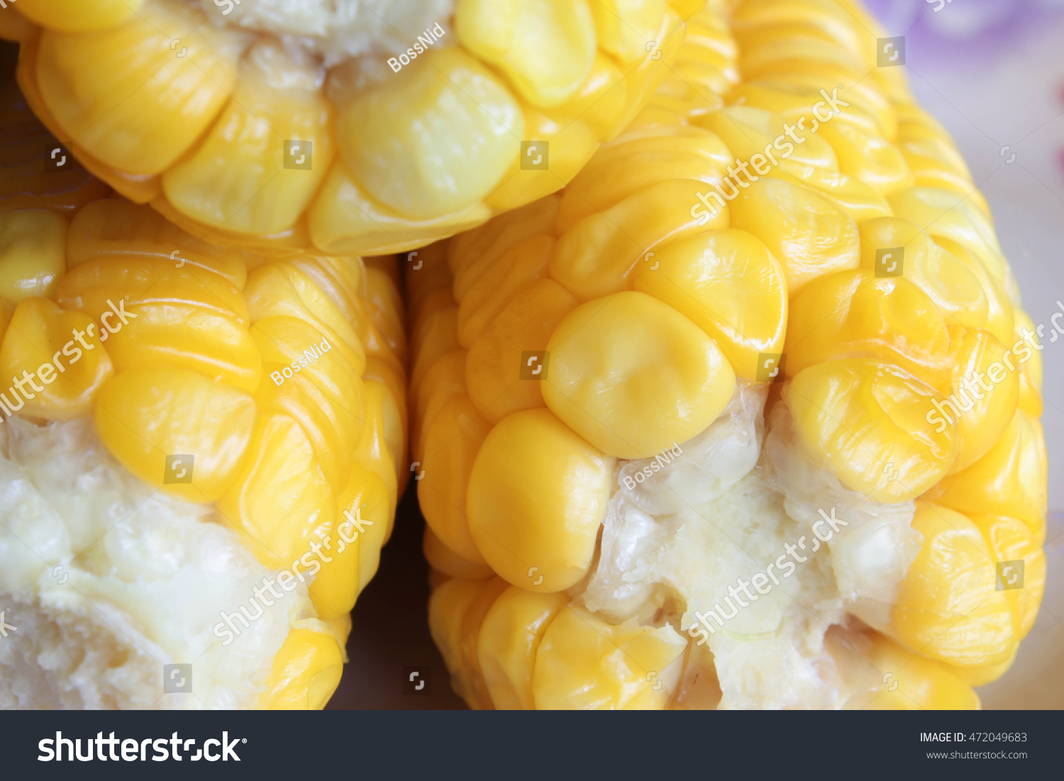 Soft Focus Corn Rows Yellow Corn Stock Photo 472049683 | Shutterstock