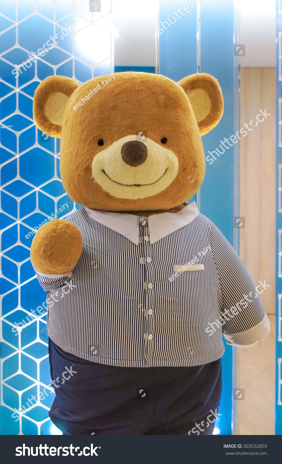 chubby teddy bears