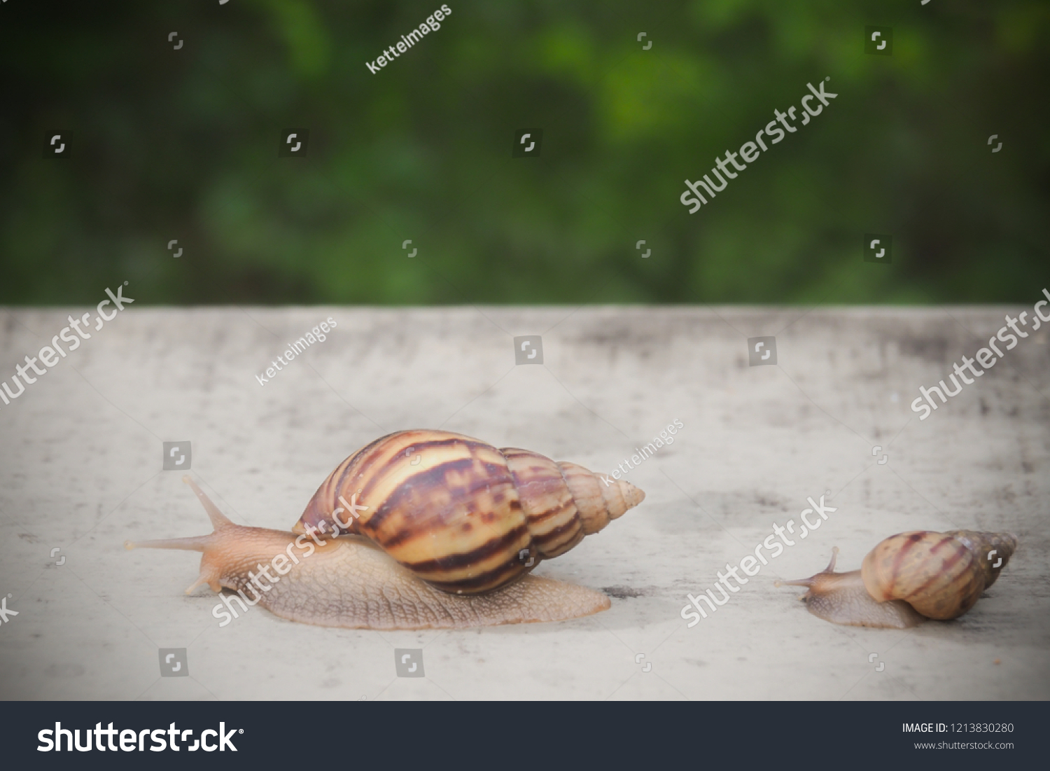 walk along snail