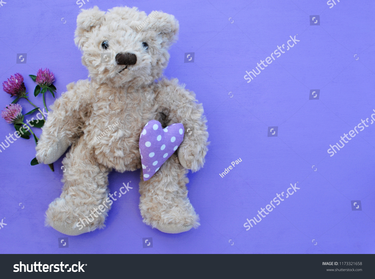 violet teddy