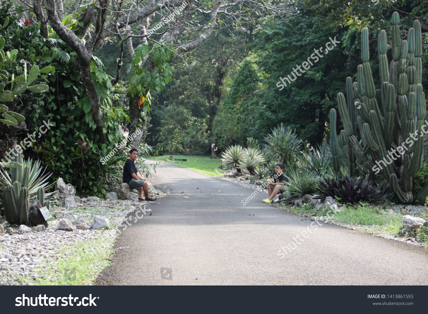 jalan kebun bunga