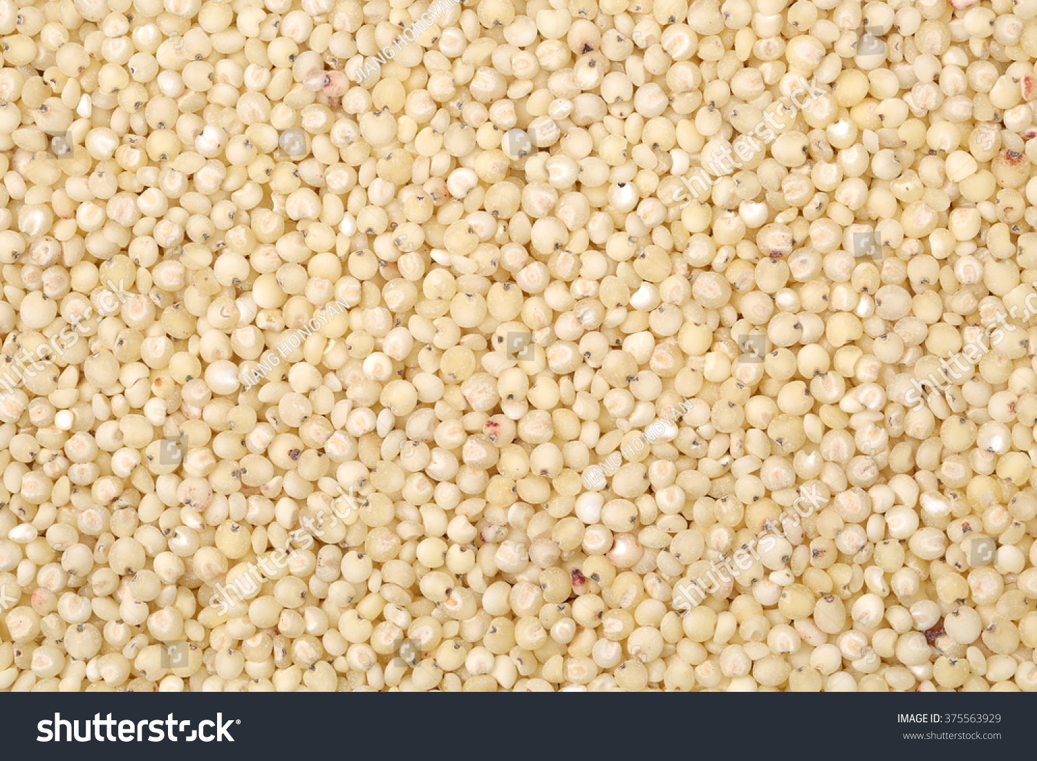 Sorghum Background Stock Photo 375563929 : Shutterstock