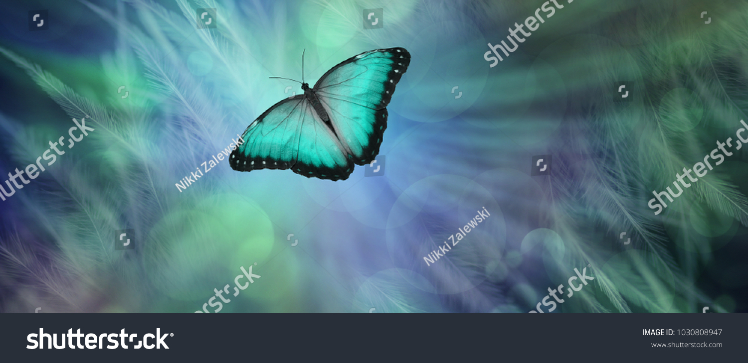 3,639 Butterfly journey Images, Stock Photos & Vectors | Shutterstock