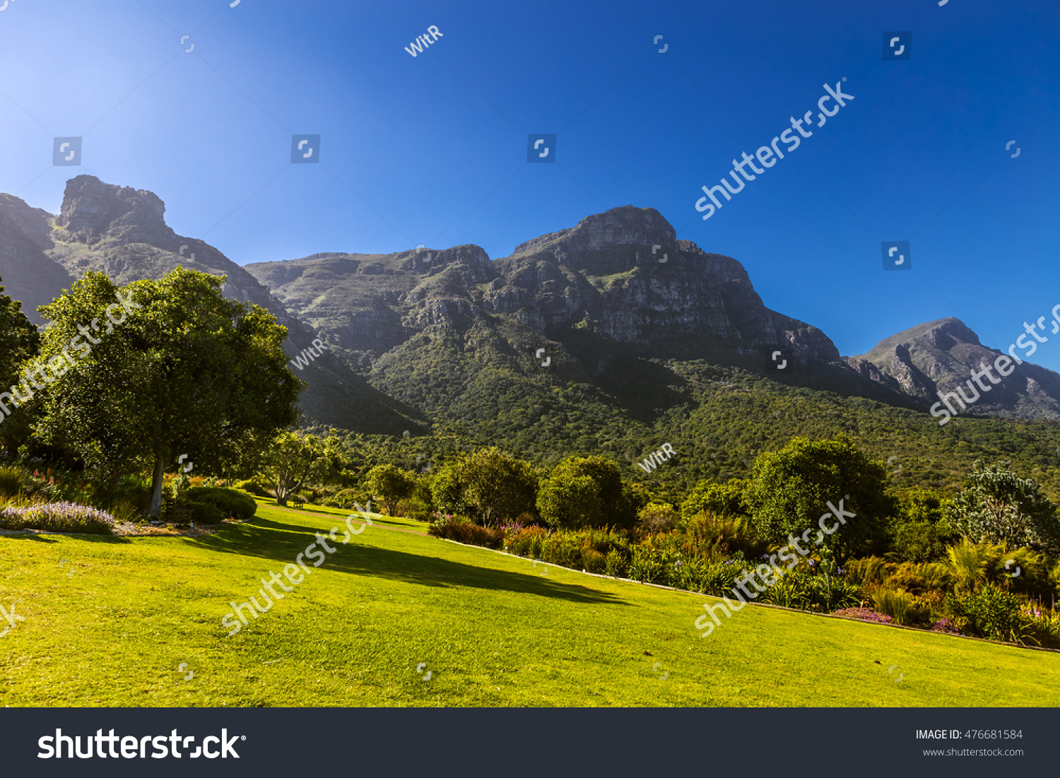 South Africa Cape Town Kirstenbosch National Stockfoto Jetzt