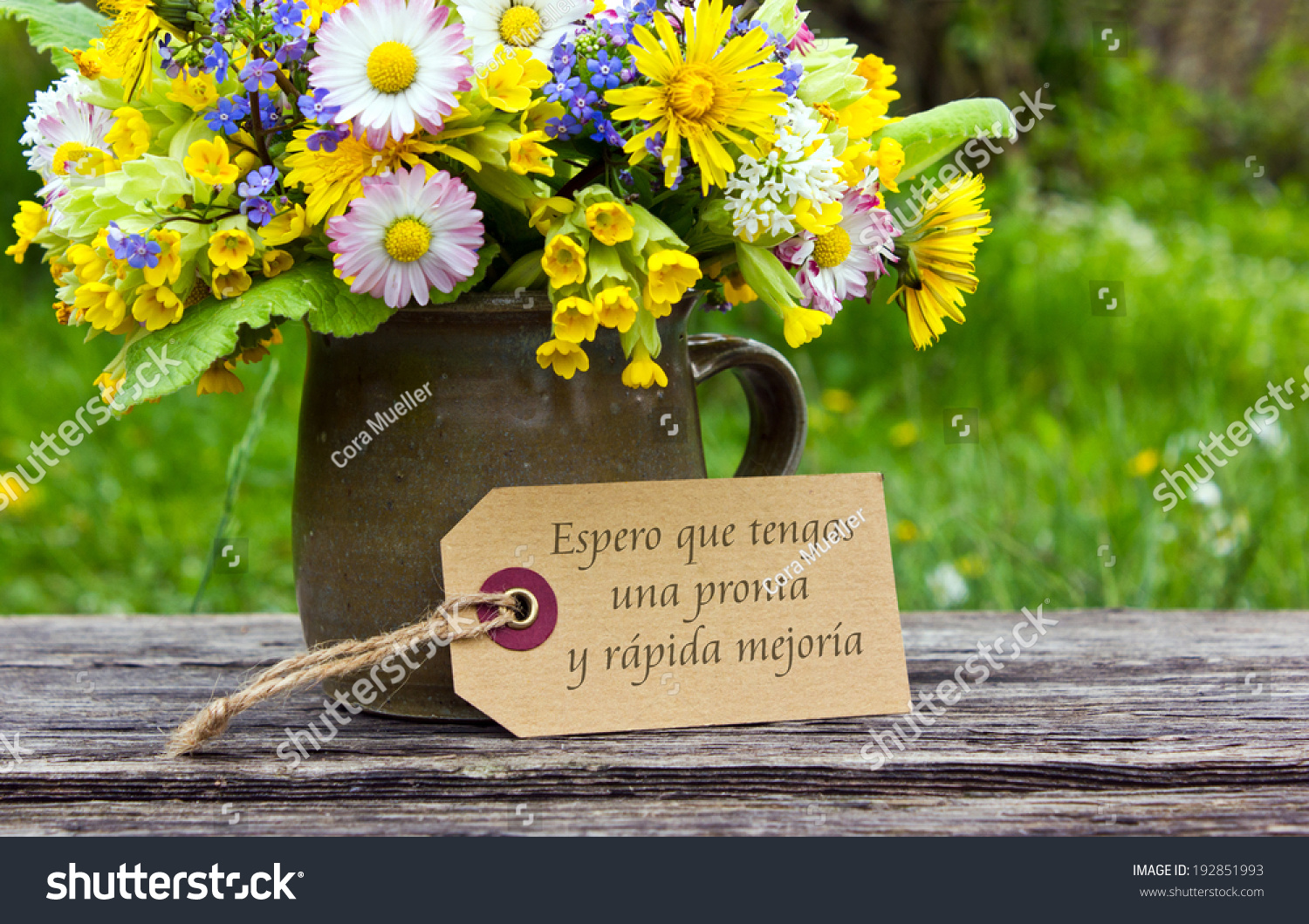 spanish-get-well-card-spring-flowersi-stock-photo-192851993-shutterstock