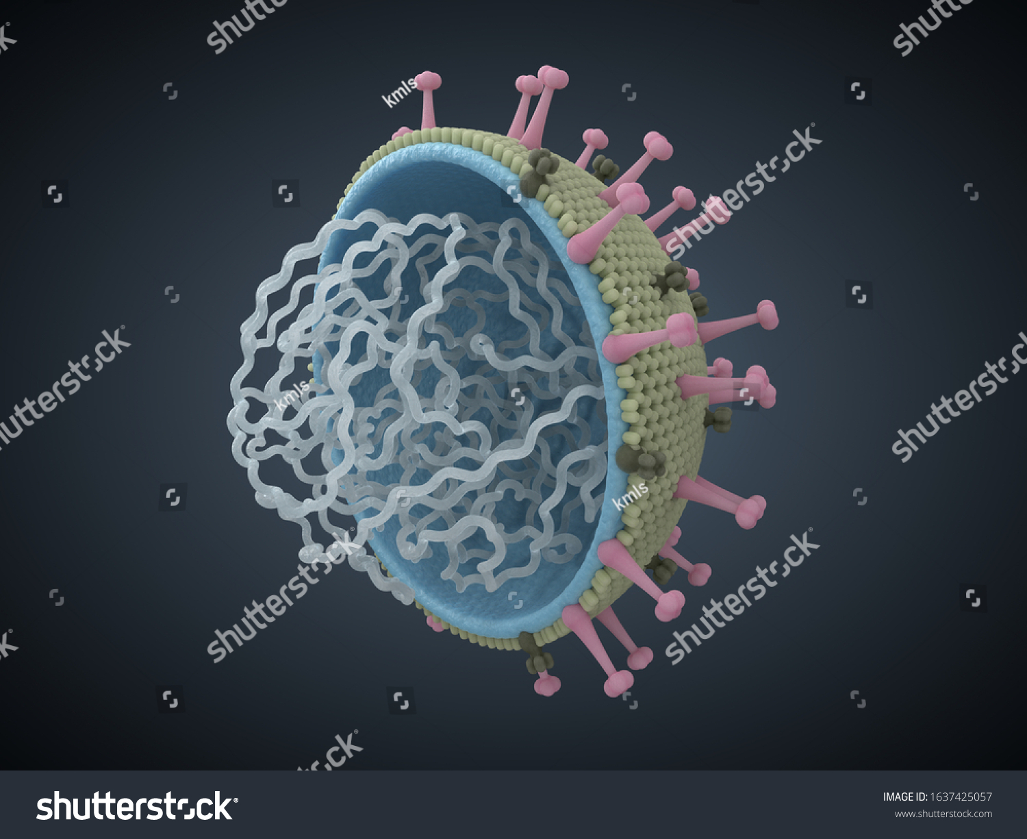 Spherical Virus Structure 3d Virus Illustration Stock Illustration ...