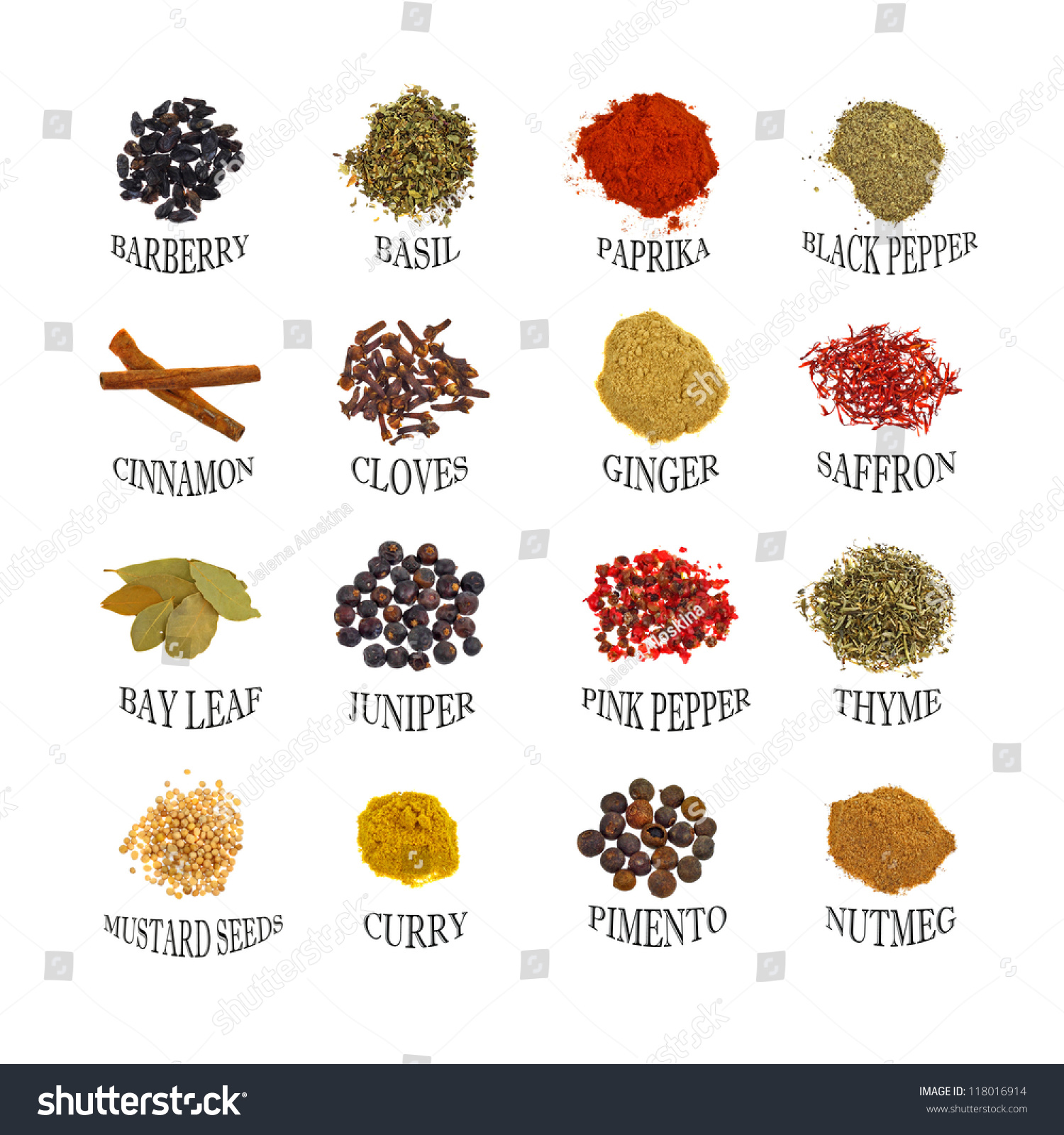 Spices 16 Different Kinds Written Titles Stock Photo 118016914 ...