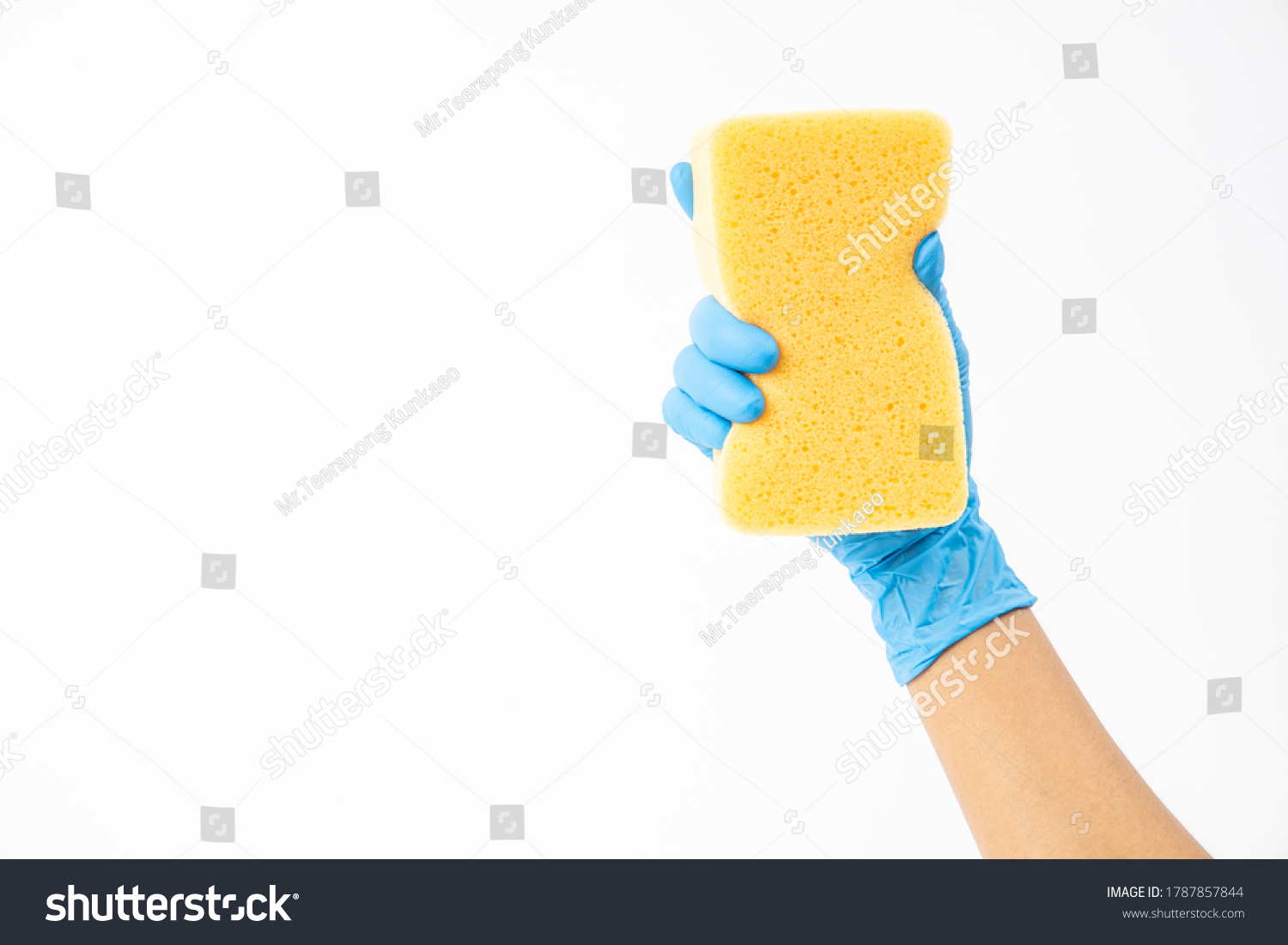 Hand Holding Sponge Images Stock Photos Vectors Shutterstock   Stock Photo Sponge For Washing And Cleaning In Female Hand Hand In A Latex Glove Isolated On White A Hand In 1787857844 