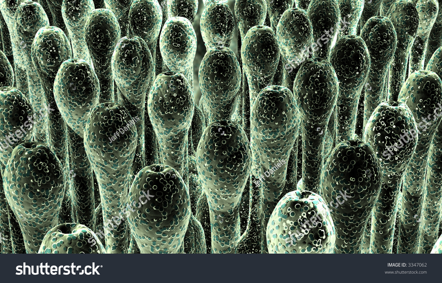 Spores Stock Photo 3347062 : Shutterstock