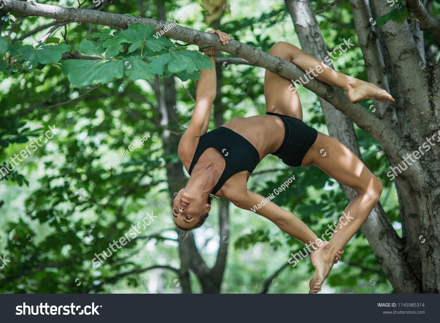 https://image.shutterstock.com/z/stock-photo-sports-girl-acrobat-performs-acrobatic-element-on-the-tree-woman-engaged-in-gymnastics-1145985314.jpg