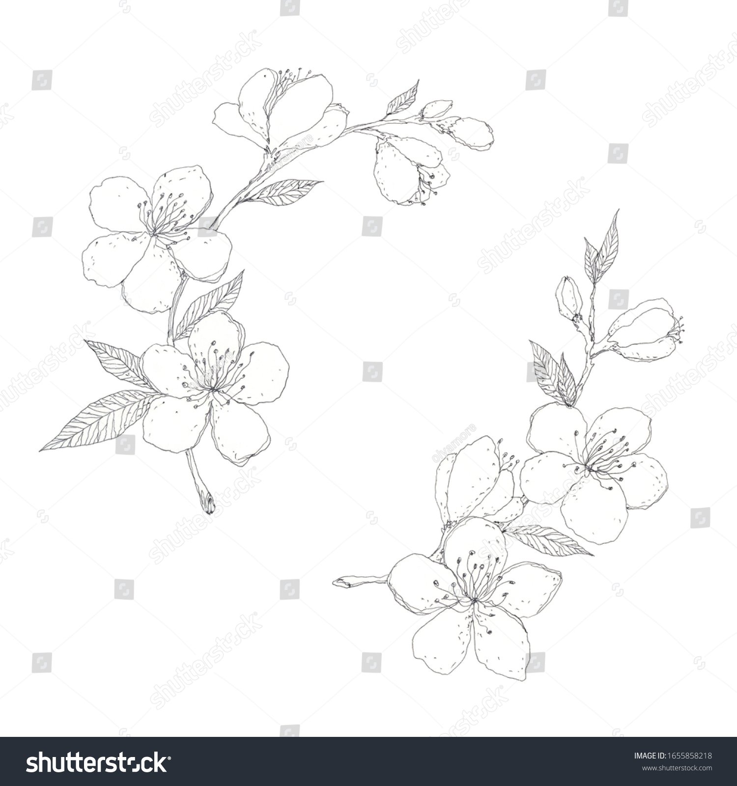 23,766 Sakura black and white Images, Stock Photos & Vectors | Shutterstock