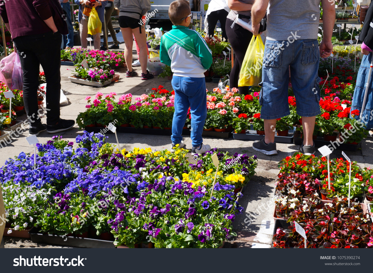 Spring Shopping Gardening Store Plants Put Business Finance Stock Image 1075390274