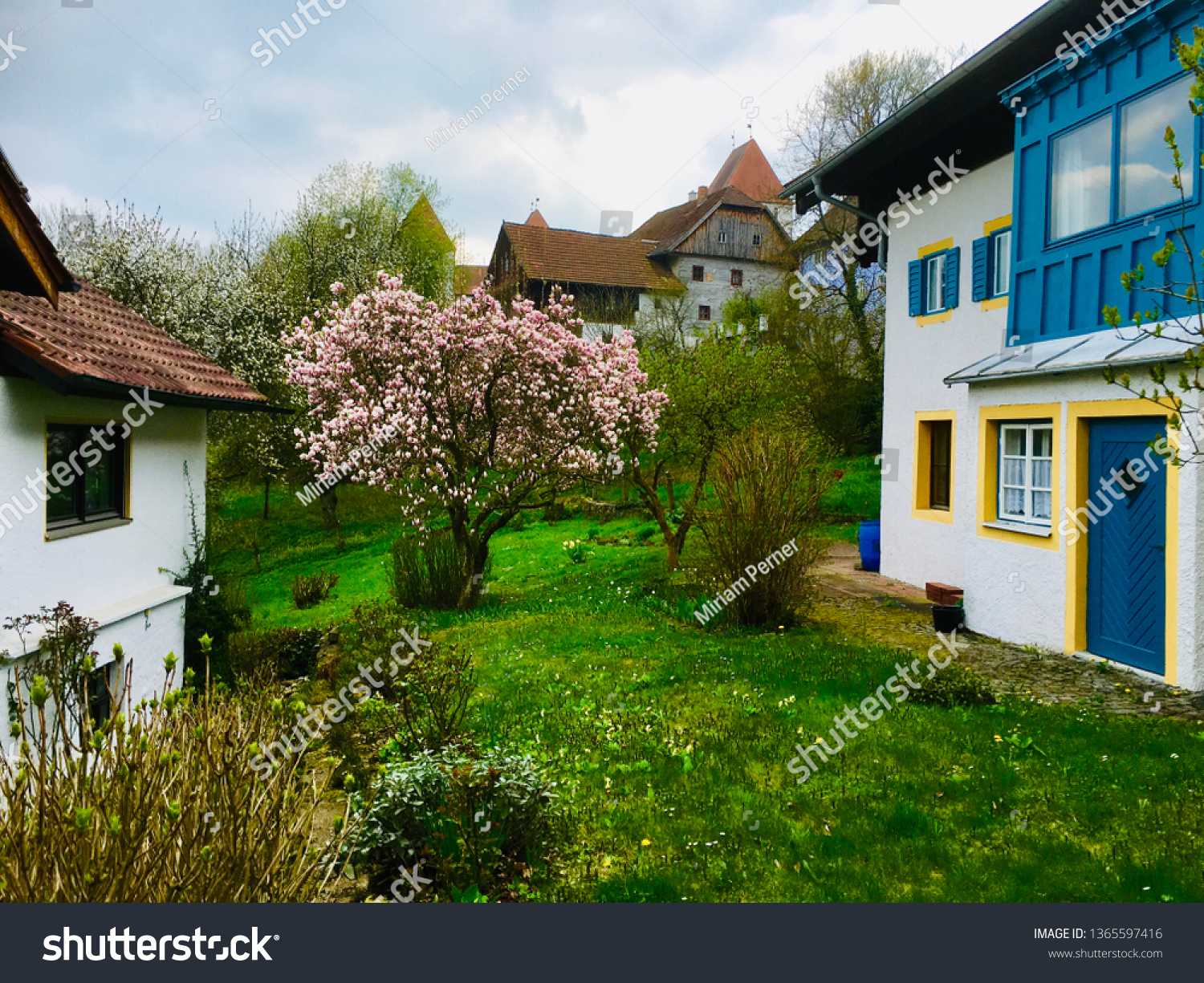 Spring Flourished Trees Nature Stock Photo (Edit Now) 1365597416