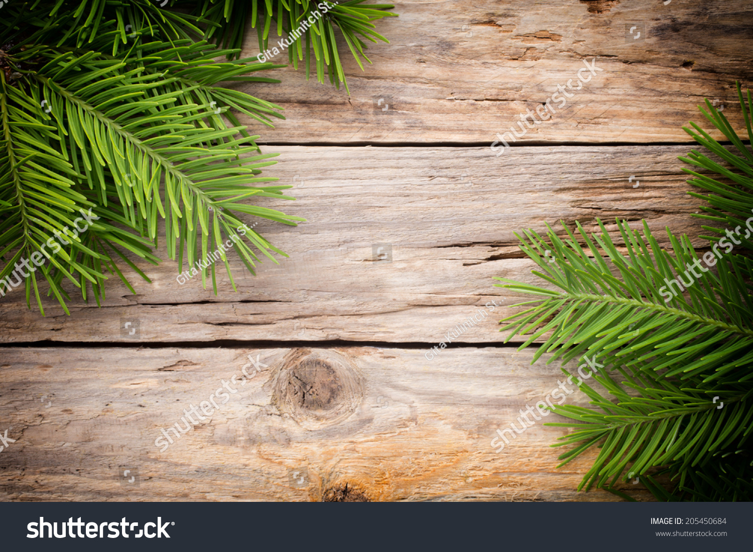 Leafevergreen Images, Stock Photos & Vectors | Shutterstock