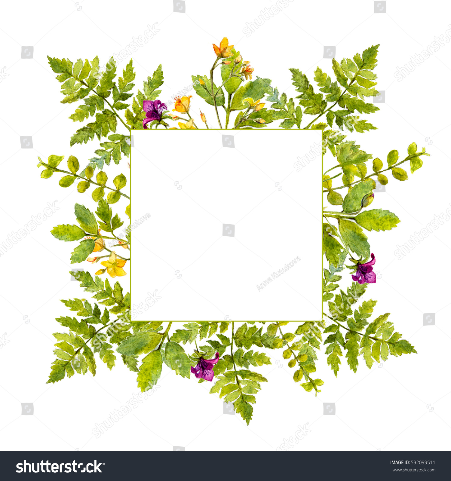 Square Frame Painted Watercolor Green Plants Stock Illustration ...