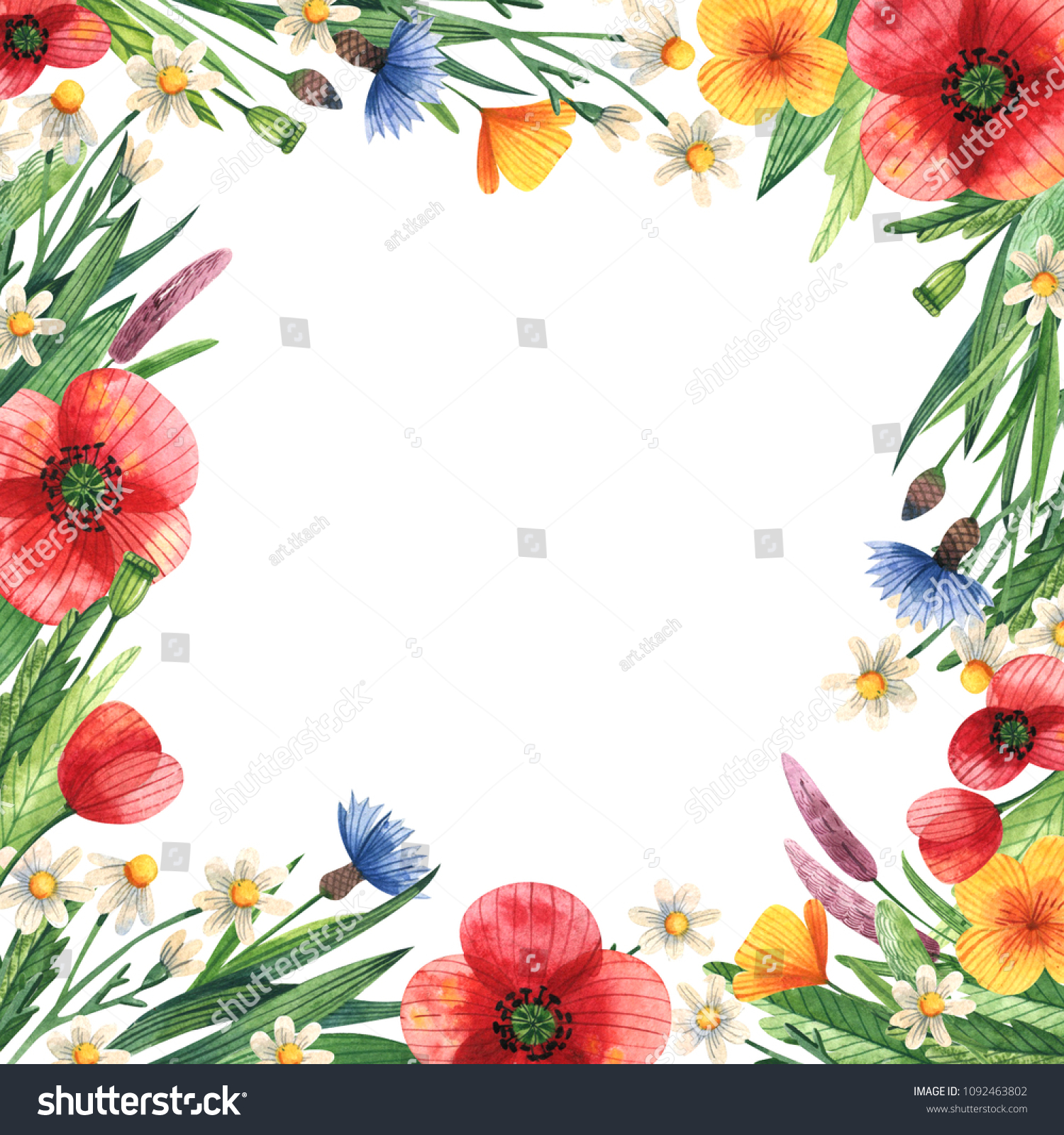 Square Frame Wildflowers Watercolor Template Your Stock Illustration ...