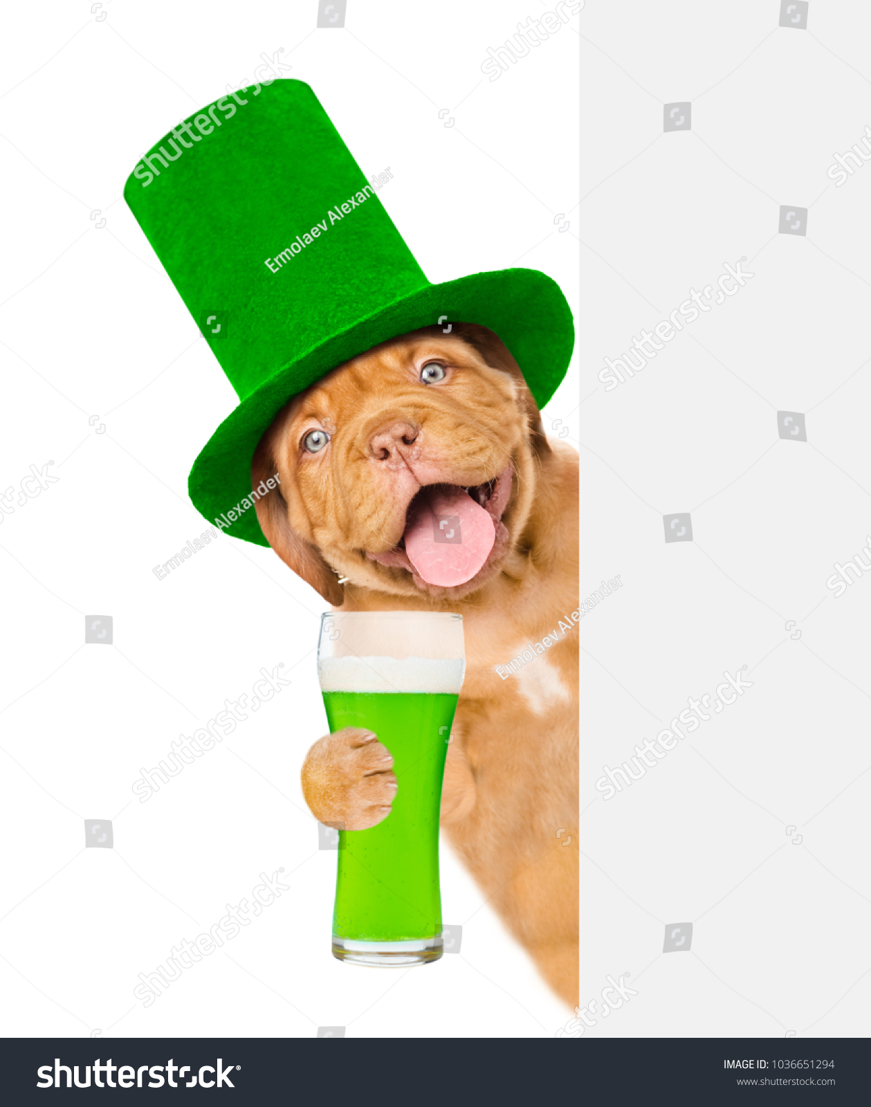 funny st patricks day hats