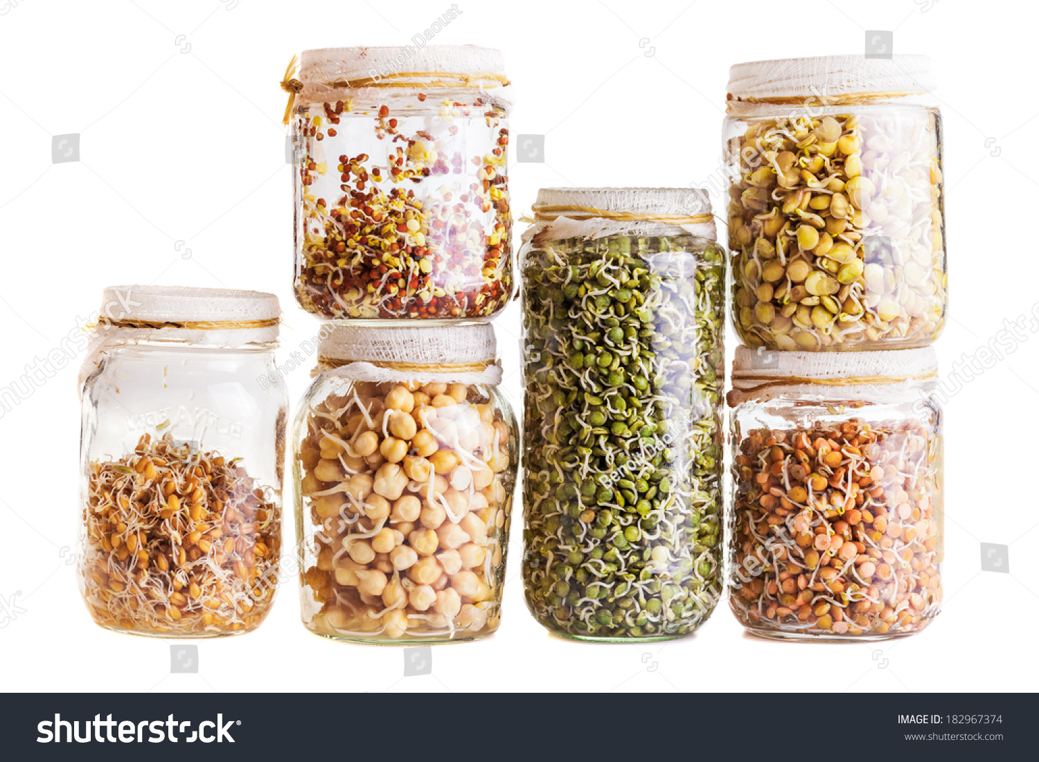 Stack Of Different Sprouting Seeds Growing In A Glass Jar Isolated On ...