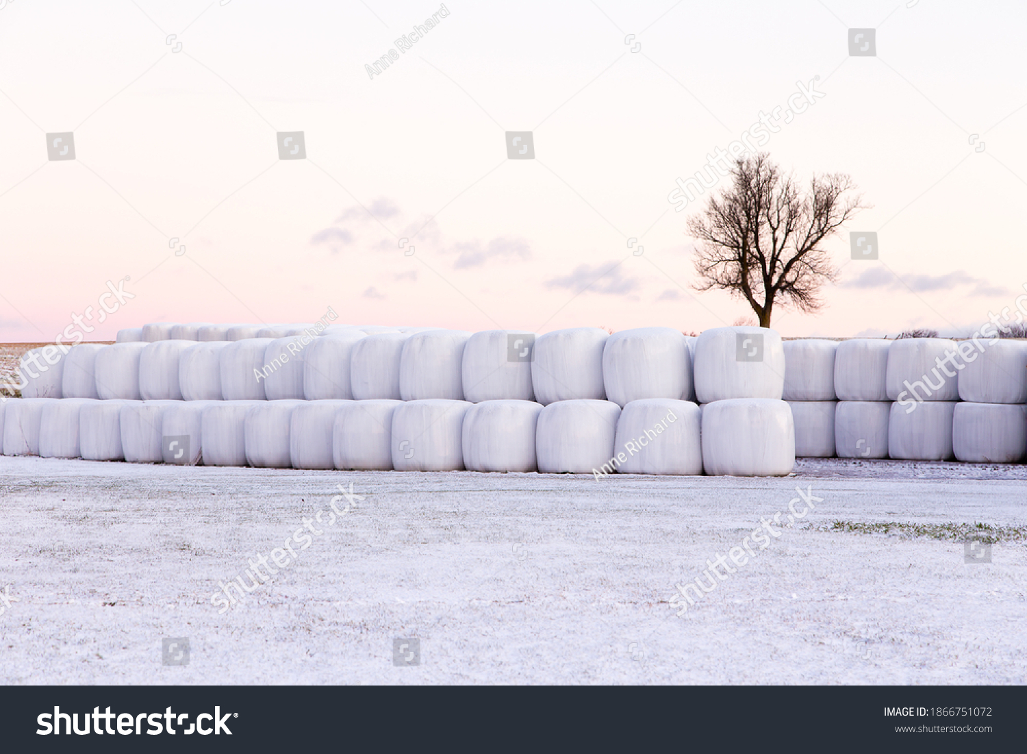 1,774 Wrapped hay bales Images, Stock Photos & Vectors | Shutterstock