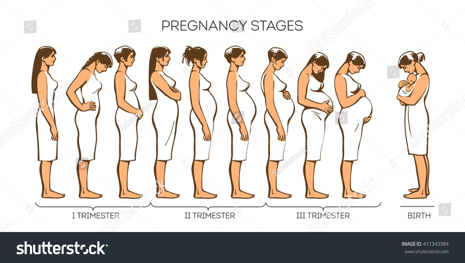 Stages Of Pregnancy, Different Women At Different Stages Of Pregnancy ...