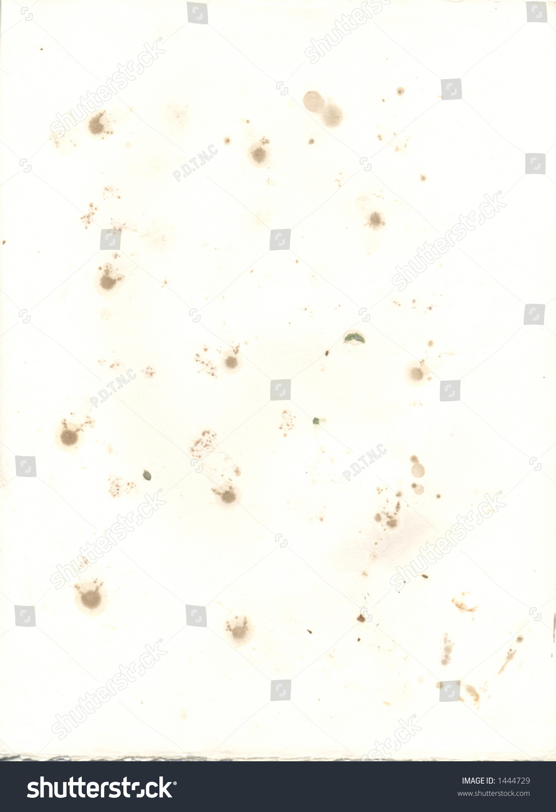 flower pressing paper under fontanacountryinn com flower pressing paper