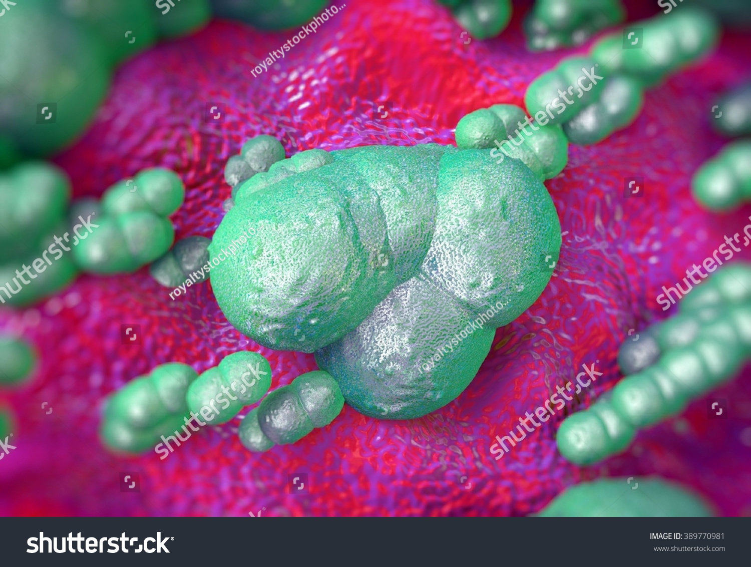 Staphylococcus Epidermidis Bacteria Stock Illustration 389770981 ...