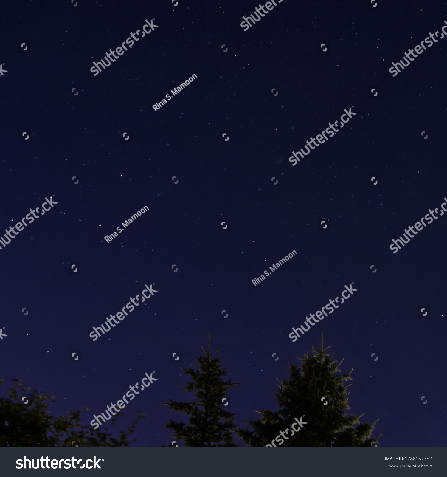 Starry Night Sky Backyard Stock Photo Edit Now 1786167782