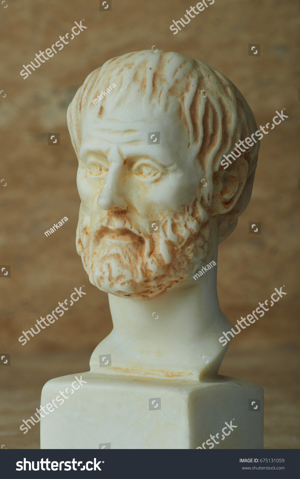 Statue Ancient Greek Philosopher Aristotle Stock Photo 675131059 ...