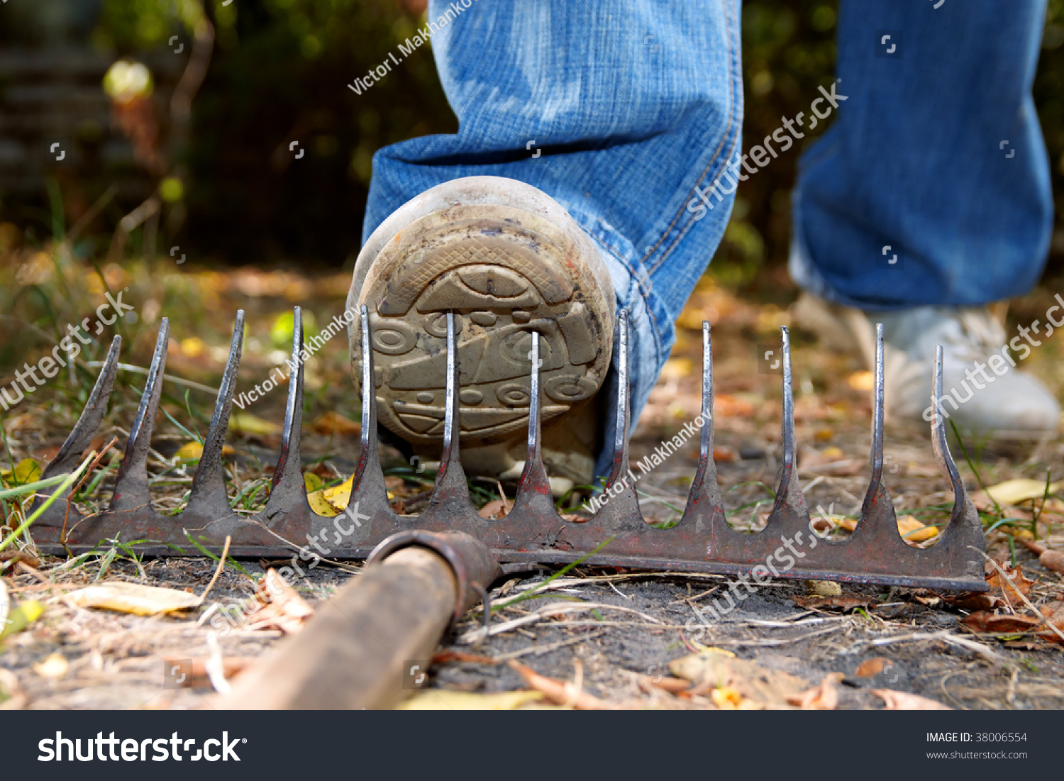 Stepping On Rakes Stock Photo 38006554 | Shutterstock