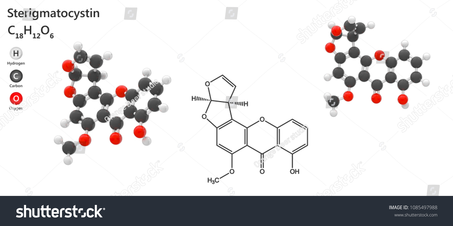 Sterigmatocystin Images, Stock Photos & Vectors | Shutterstock