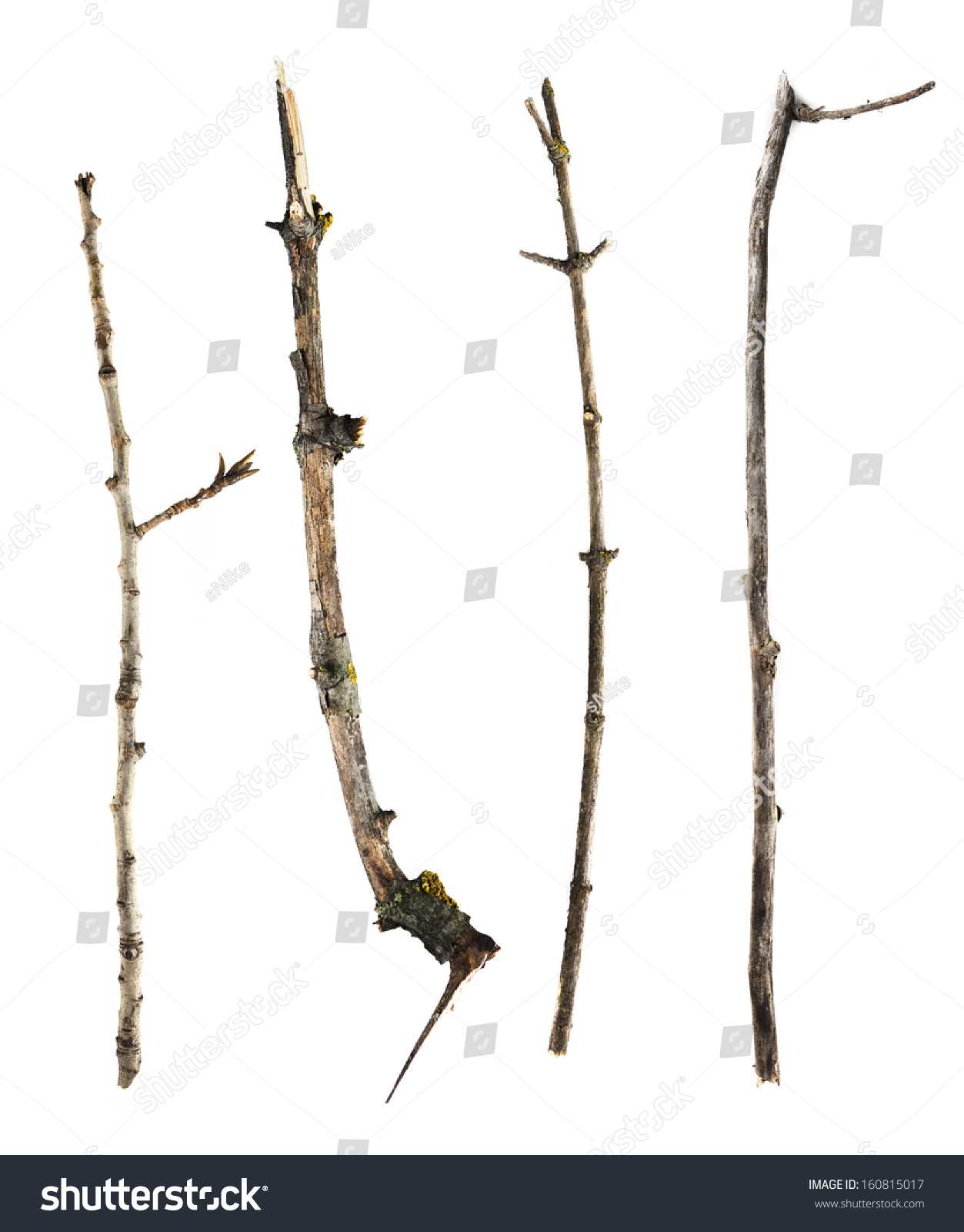 Sticks Twigs Isolated On White Background Stock Photo (Edit Now) 160815017