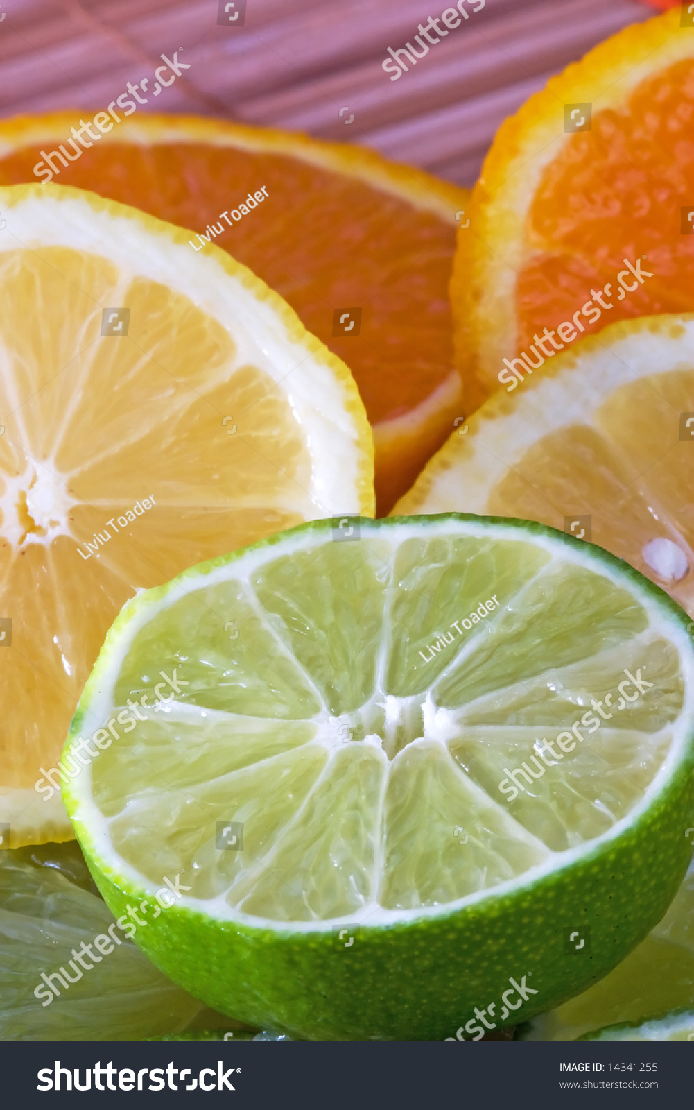 Still Life Oranges Lemons Limes Nature Stock Image