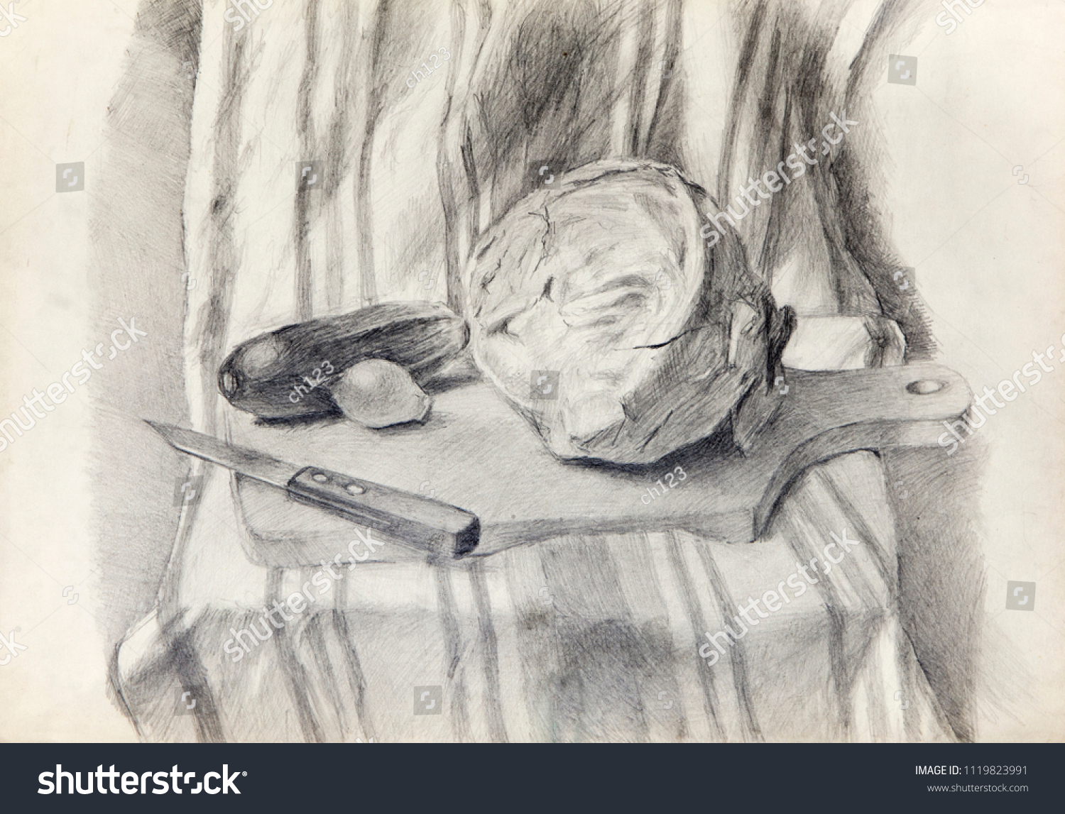 Still Life Pencil Drawing Sketch Stock Illustration 1119823991