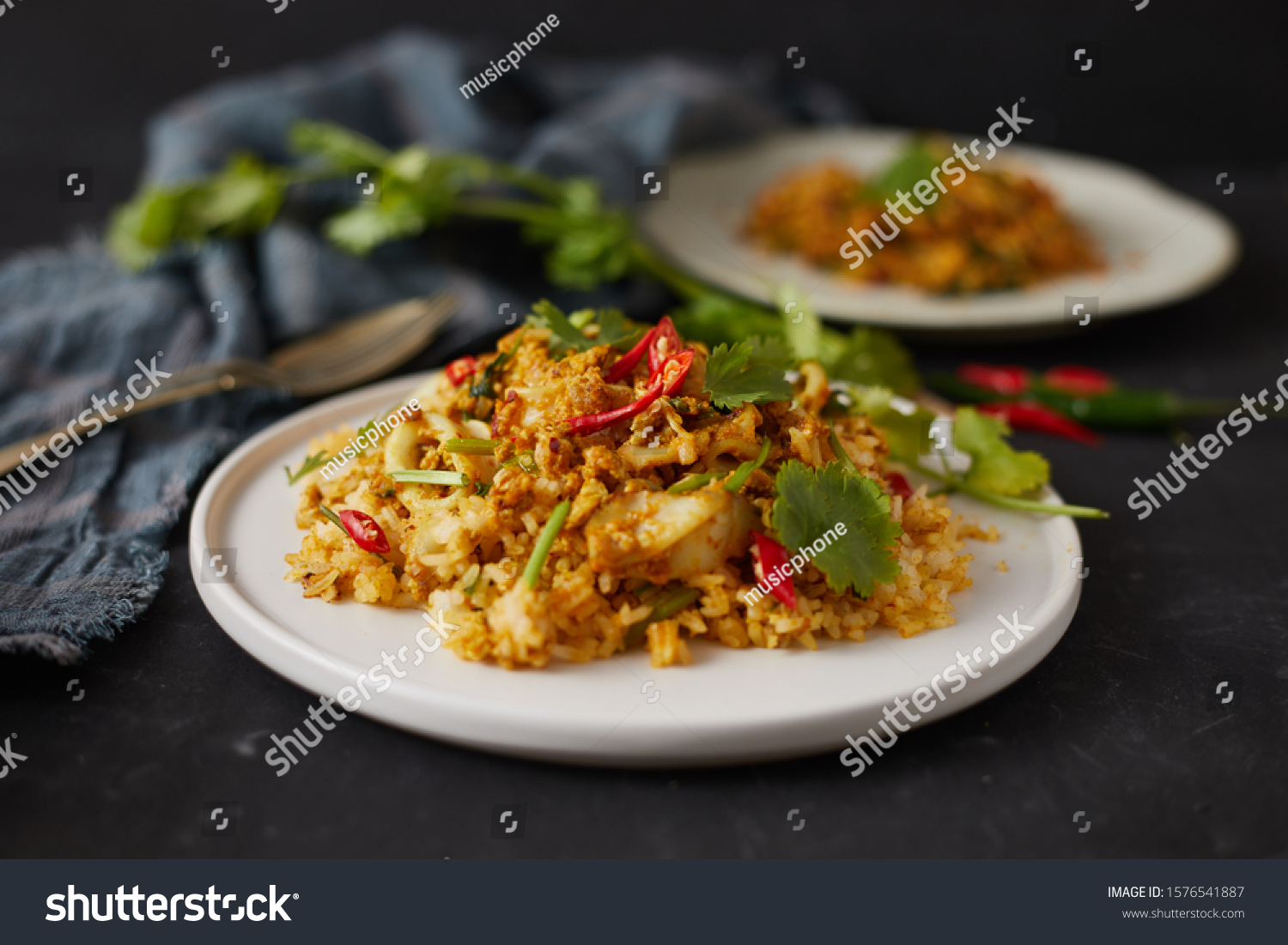 Stir Fried Squid Curry Powder Thai Stock Photo 1576541887 | Shutterstock
