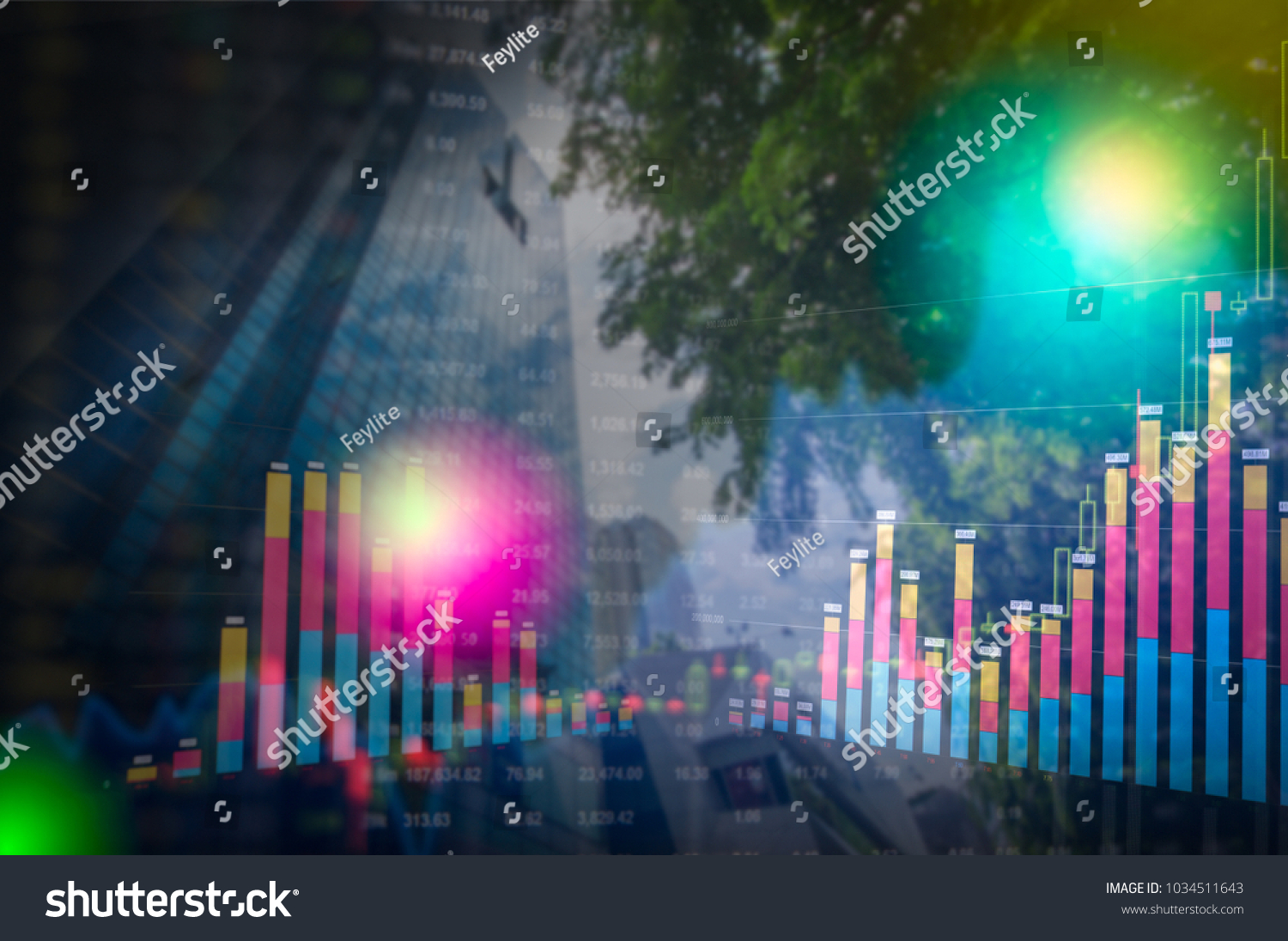 Rave Stock Chart