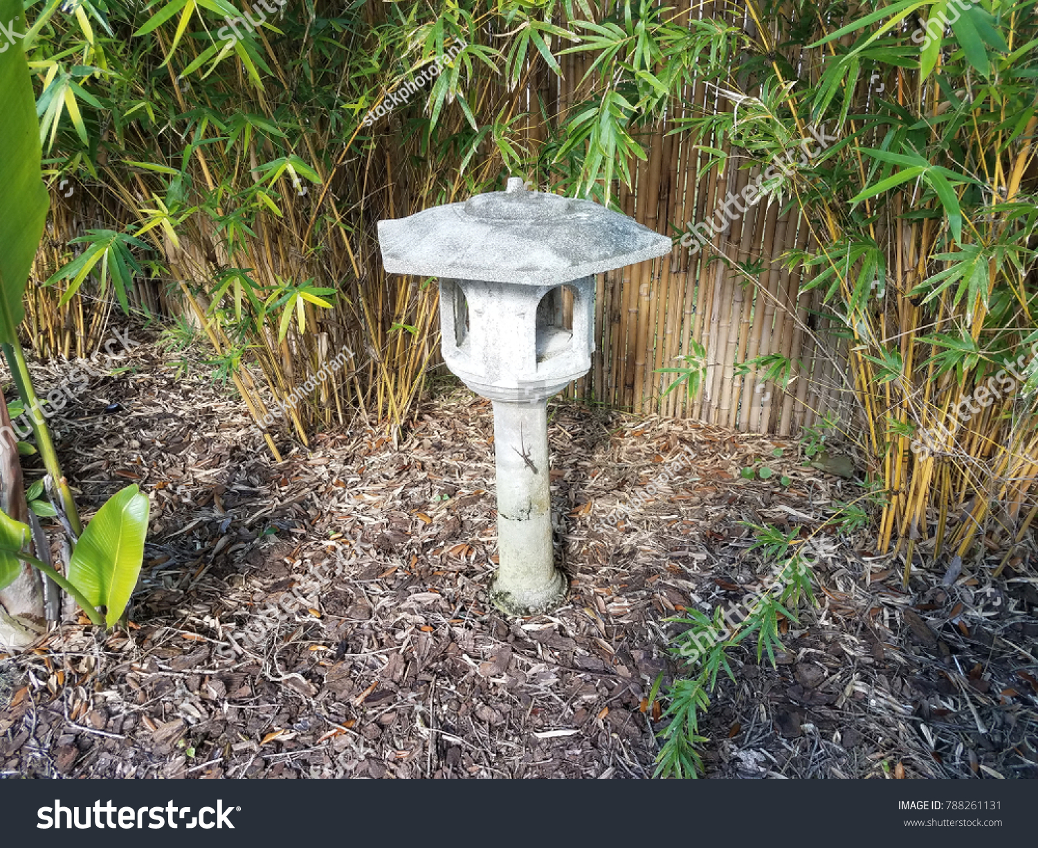 Stone Light Holder Lizard Bamboo Stock Photo Edit Now 788261131