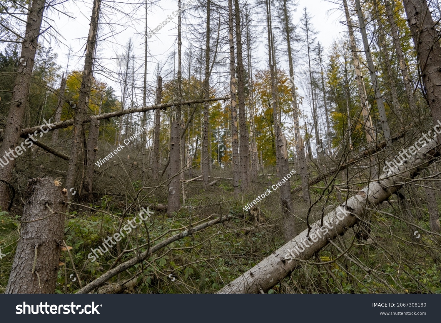 sturm januar 2021 Switzerland