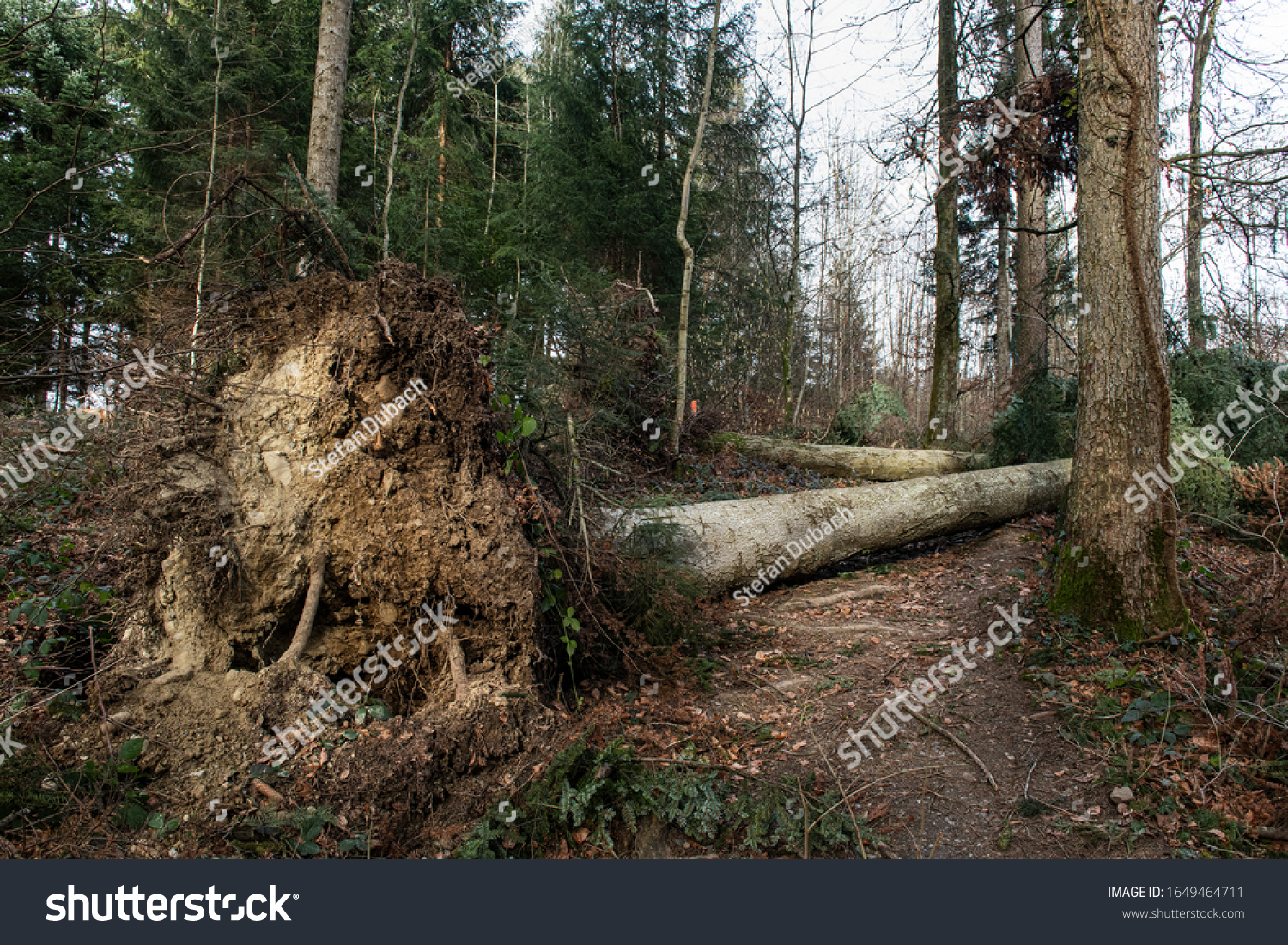 sturm januar 2021 Switzerland