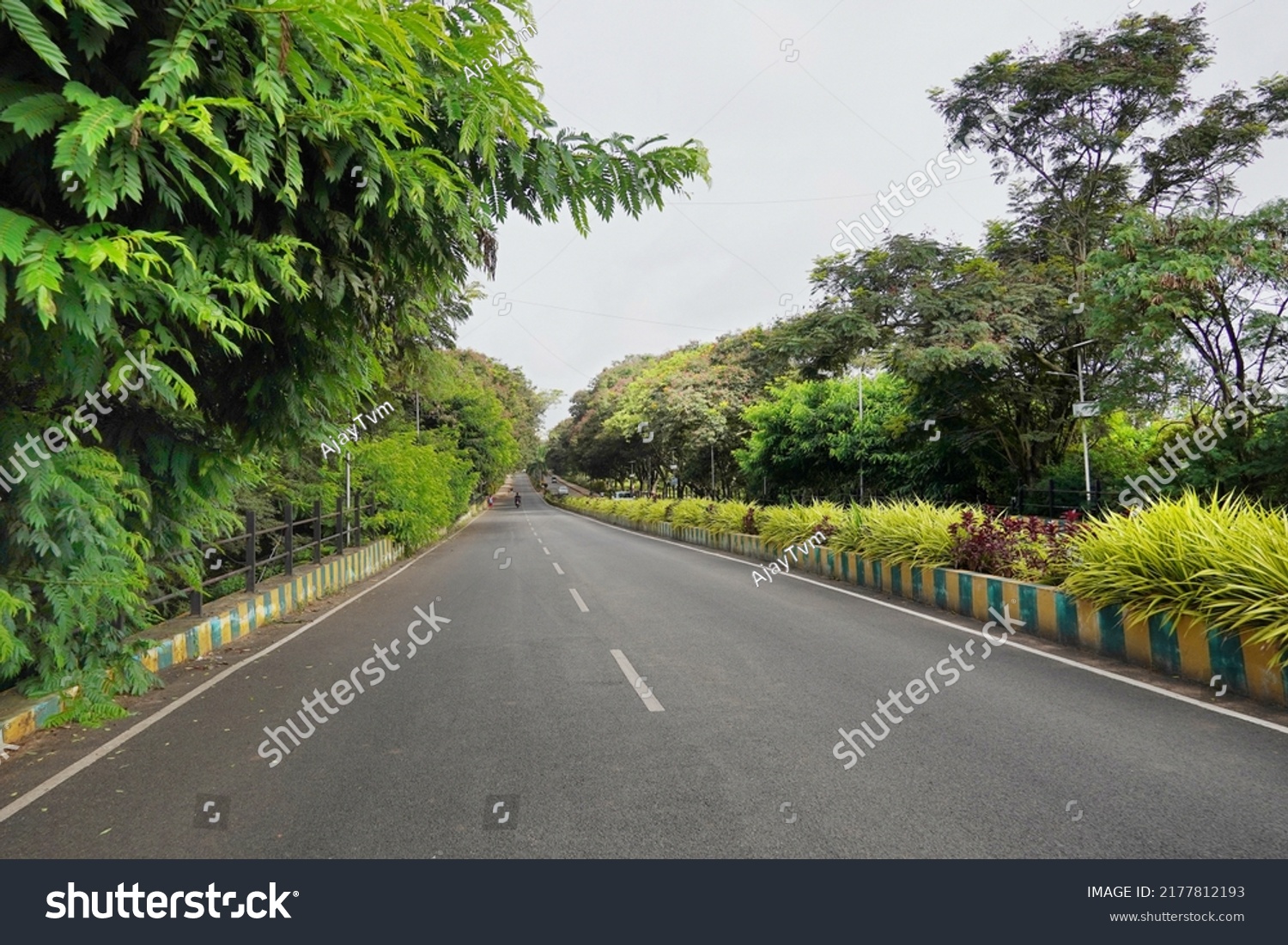 Straight avenue on the University of Agricultural Sciences (UAS ...