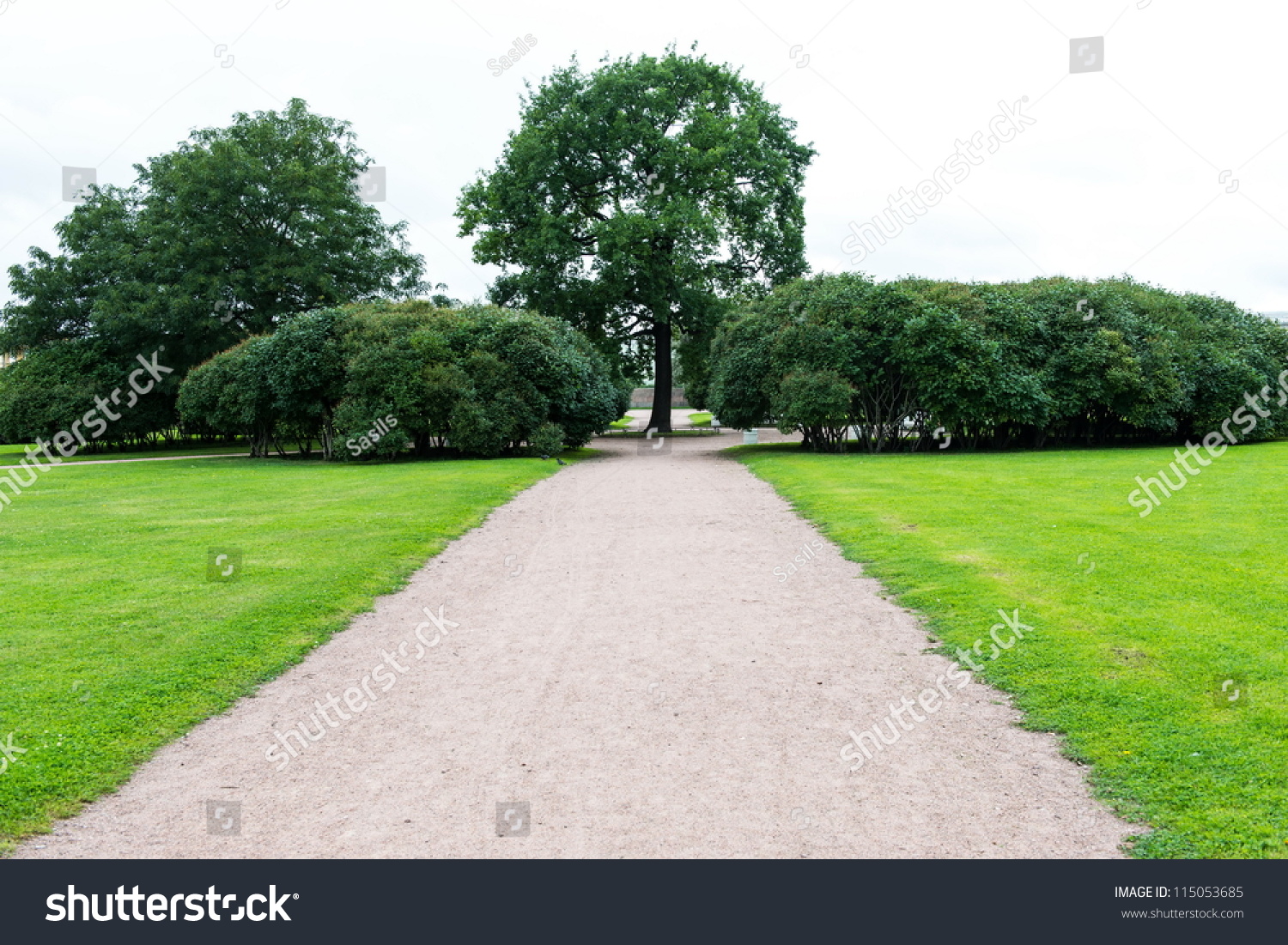 Straight Road Path Trees Grass Along Stock Photo 115053685 ... for Straight Road With Trees
585ifm Straight Road Path Trees Grass Along Stock Photo 115053685 ... for Straight Road With Trees
585ifm